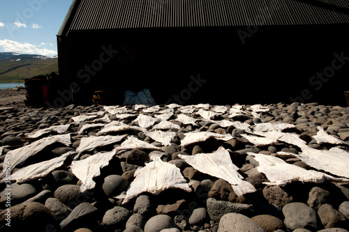 fisherhouse with dry fish outside photo