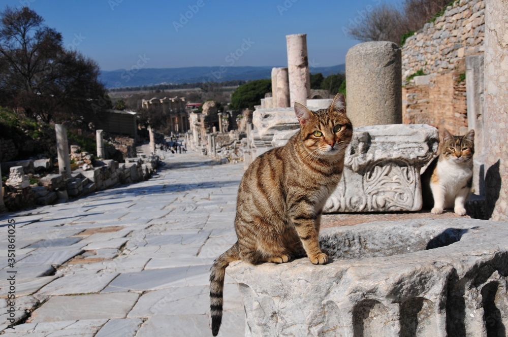Ephesus ancient city. Selcuk / Izmir