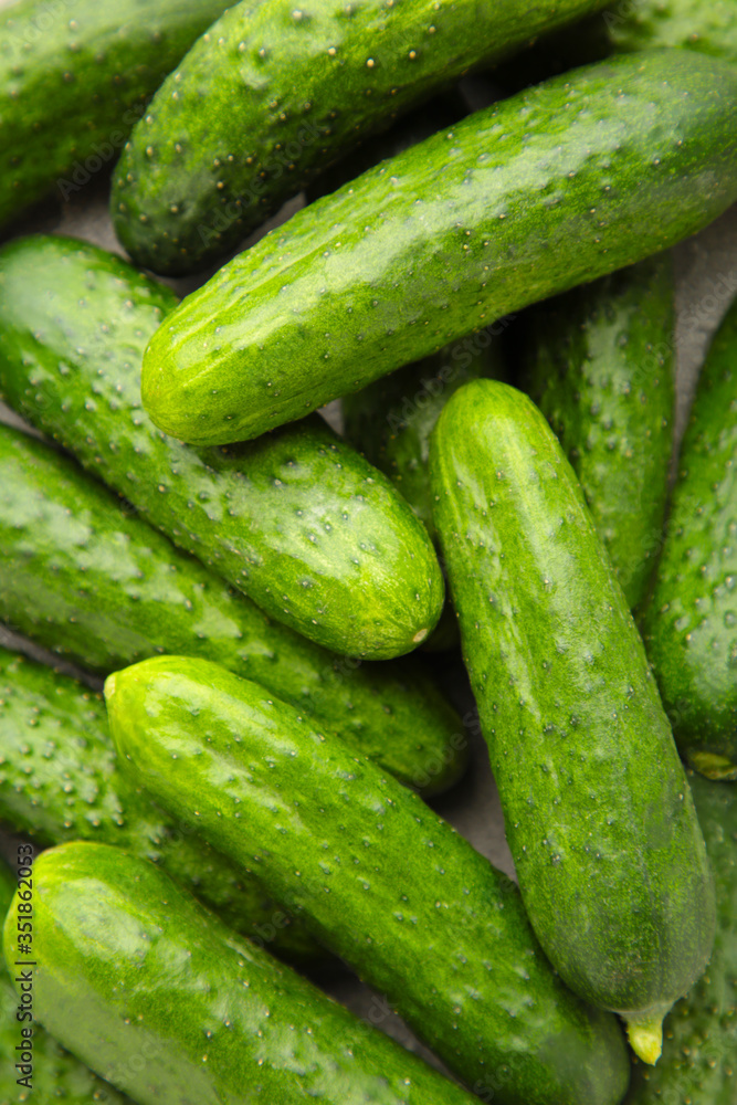 Many green and fresh cucumbers background for text Many green and fresh cucumbers background for text