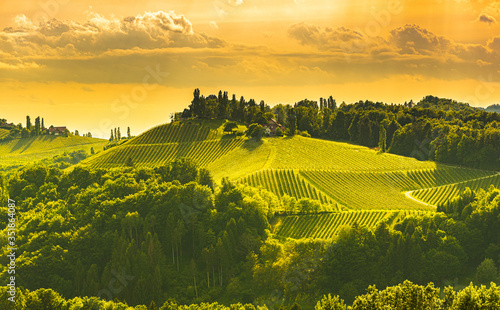 South styria vineyards landscape  near Gamlitz  Austria  Eckberg  Europe. Grape hills view from wine road in spring.