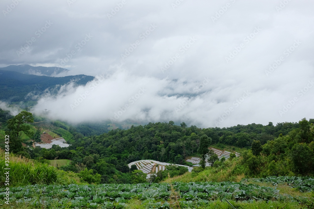 Aerial greenery view of hightland and forest hill in cloudy sky with the mist and fog in rainy season on valley mountain in village at countryside of Thailand