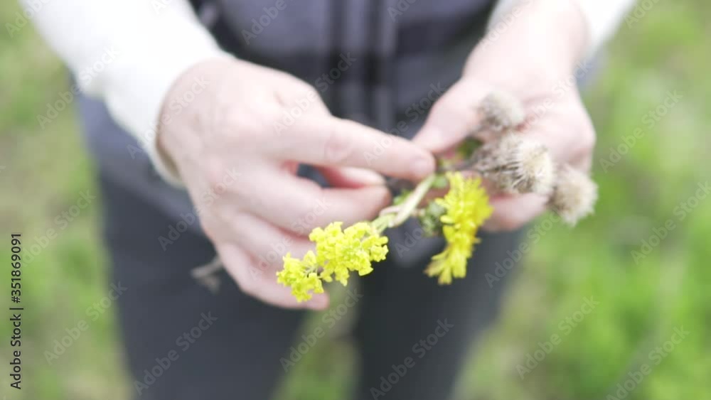 Women's hands make a small bouquet of wild flowers. Women's hands make a small bouquet of wild flowers.