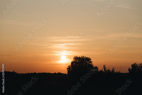 sunset in the field © Gabija