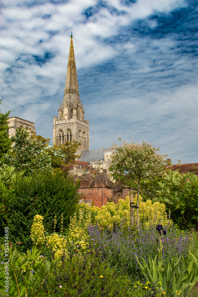 The beautiful plants and flowers of Bishops Palace Gardens with Chichester Cathedral in the background.
