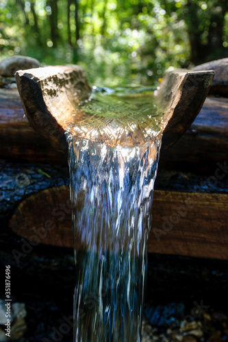 source of clean water in the forest