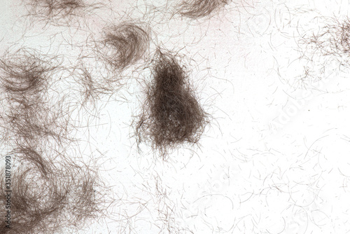 Fotografie Hair cut off on white floor in  barbershop