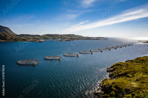 Farm salmon fishing in Norway