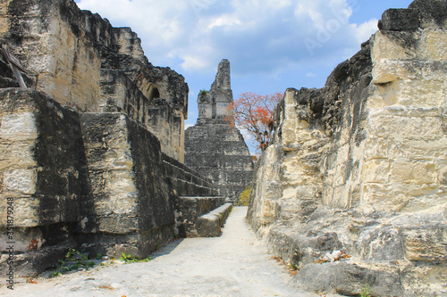 Tikal National Park on Unesco World Heritage. Temple II views (Temple of the Masks)