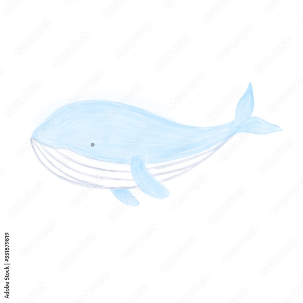 Watercolor little whale on a white background  In a soft and cute drawing style for use in children's books or storytelling and Tale.