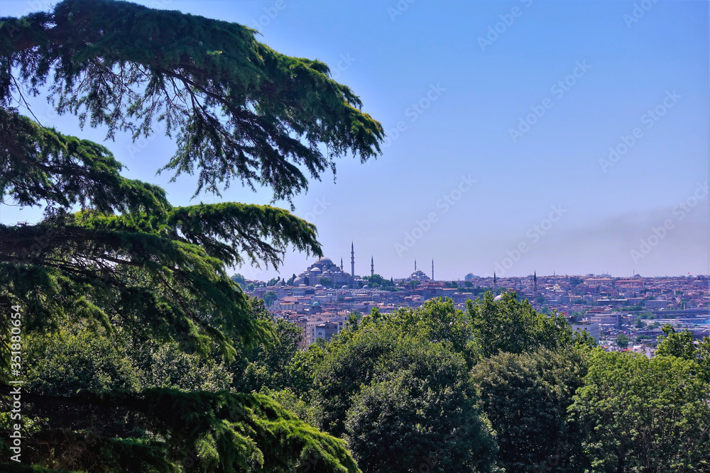 Panorama of Istanbul from a height. Through the green branches of the trees the city is visible. Against a clear sky, the outlines of the domes and minarets of the mosque are clearly visible.