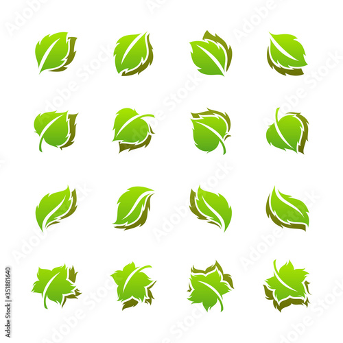 Leaves of birch, linden and other plants and trees. Vector logo templates set. Stylish and elegant elements for design