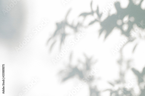 Shadow and light from sunlight of natural leaves plant tree branch on white wall. Nature blurred background