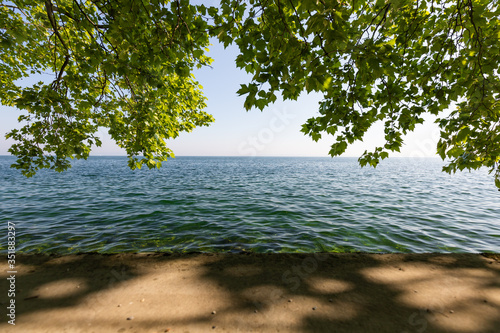 Fototapeta Naklejka Na Ścianę i Meble -  beautiful view over the Lake Constance in rorschach, switzerland, with overhanging tree