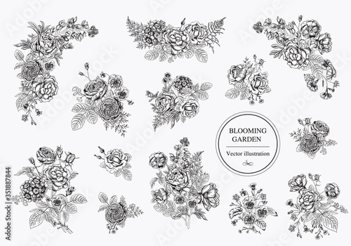 Bouquets with flowers. Blooming  garden. Vector illustration.