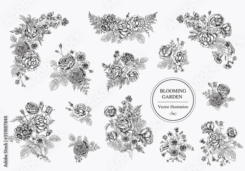 Bouquets with flowers. Blooming garden. Vector illustration.