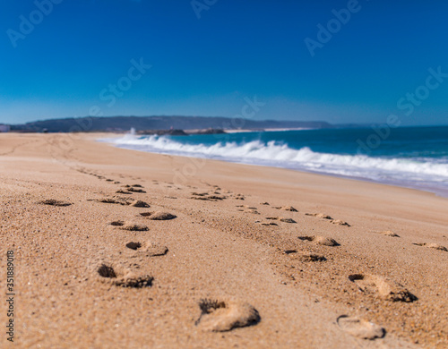 Traces on the sand of the beach in Nazare Portugal © Vadim