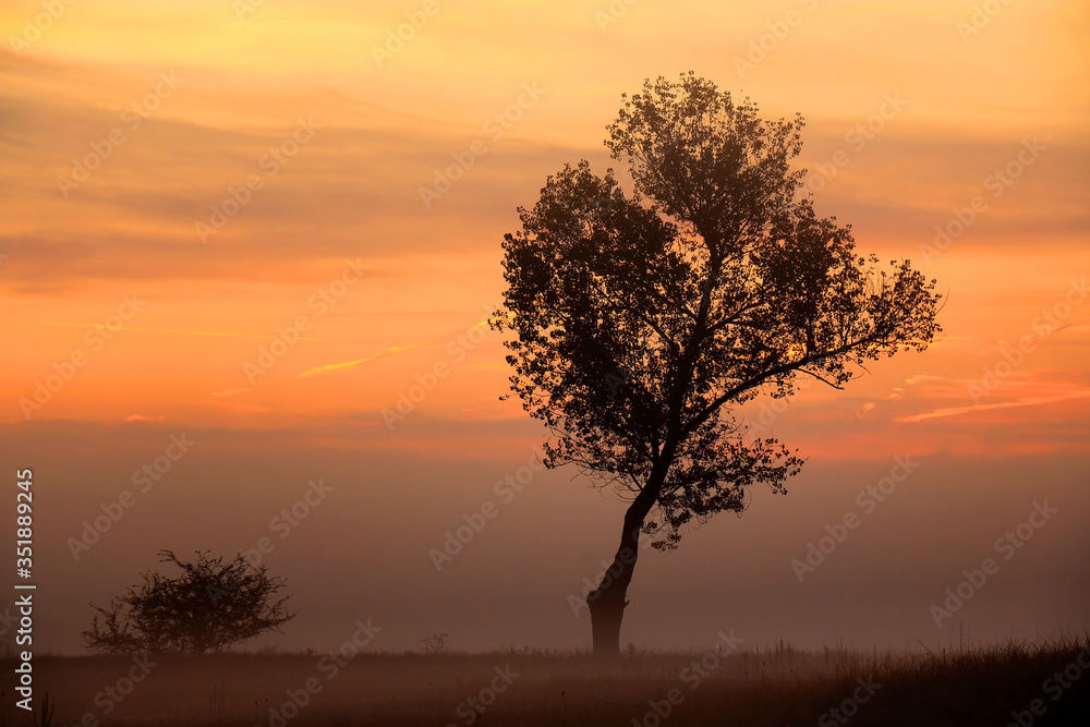 Colorful sunrise by the field, Poland.