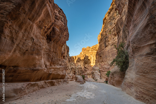 petra canyon desert jordan