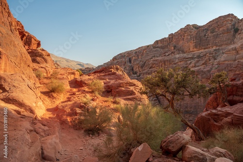 red rock canyon