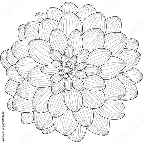 Fototapeta Naklejka Na Ścianę i Meble -  Dahlia flower.Coloring book antistress for children and adults. Illustration isolated on white background.Zen-tangle style. Black and white drawing. T-shirt emblem, logo or tattoo with doodle.
