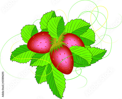 strawberry with leafes