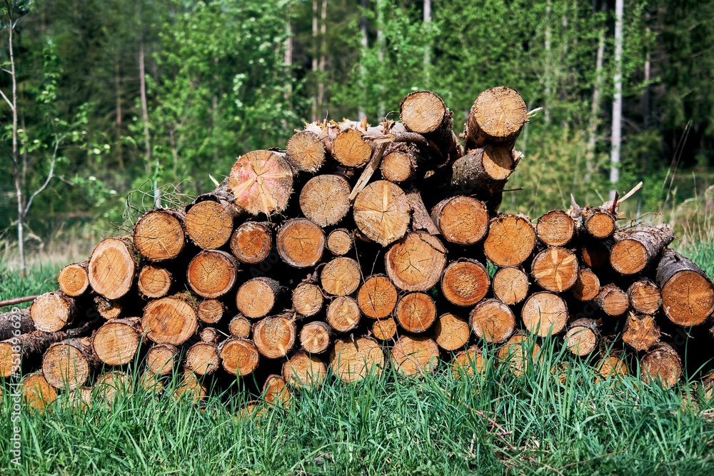 Pile of wood after deforestation. Tree logs lie on the ground in the forest. Dry chopped firewood logs stacked up on top of each other in Bavaria, Germany. Brown logs with green grass and trees.
