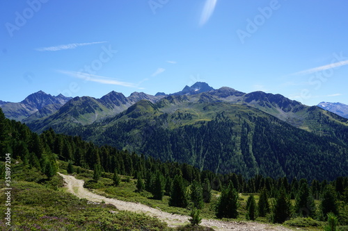 Winding hiking trail