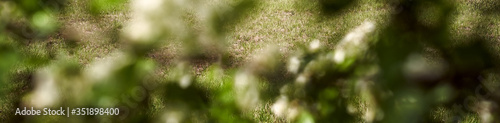 Header for webseite, banner, horizontal poster. Sunshine over the fresh green spring hills and beautiful blooming trees near Karlstadt, Bavaria - Germany.