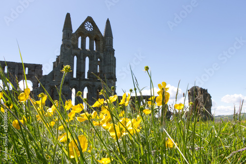 arches at whitby abbey ruins in north Yorkshire U.K. photo