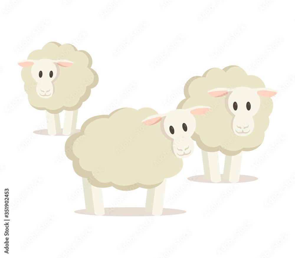Obraz premium Flock of three sheep. Colorful flat vector illustration, isolated on white background.
