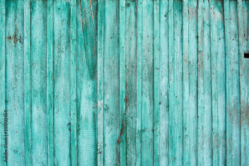 The texture of the boards. The fence is painted in green.