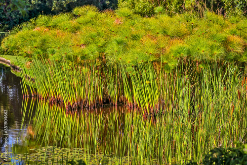 Cape of Good Hope, South Africa