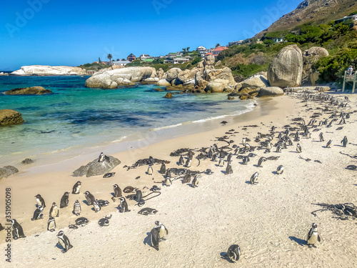 Cape of Good Hope, South Africa