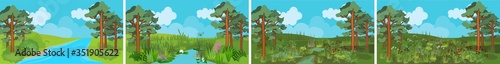 Pond succession. Sequence of stages of biotope change: from pond to swamp