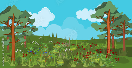 Summer landscape with swamp