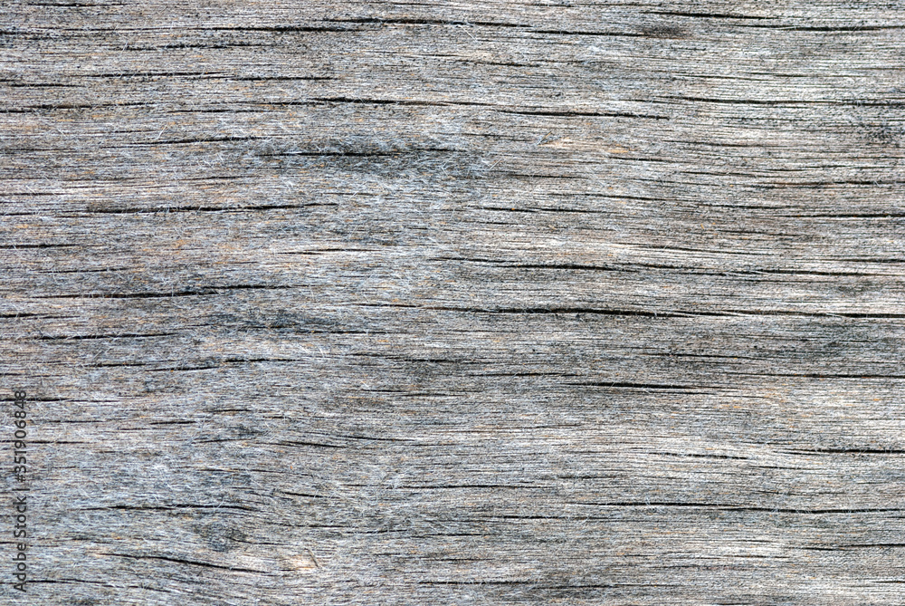 plywood weathered gray texture with wood fiber, cracks and stains of rot and mould plywood weathered gray texture with wood fiber, cracks and stains of rot and mould