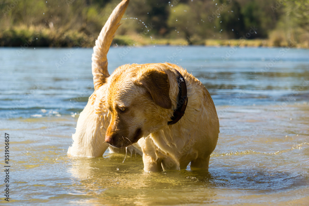 Baden im Fluss