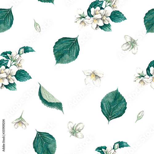 Seamless watercolor background from jasmine branches  buds and leaves. Suitable for paper  fabric and postcards.