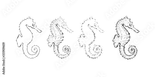 Hand drawn seahorse constuctor. Outline sea design element with dots.
