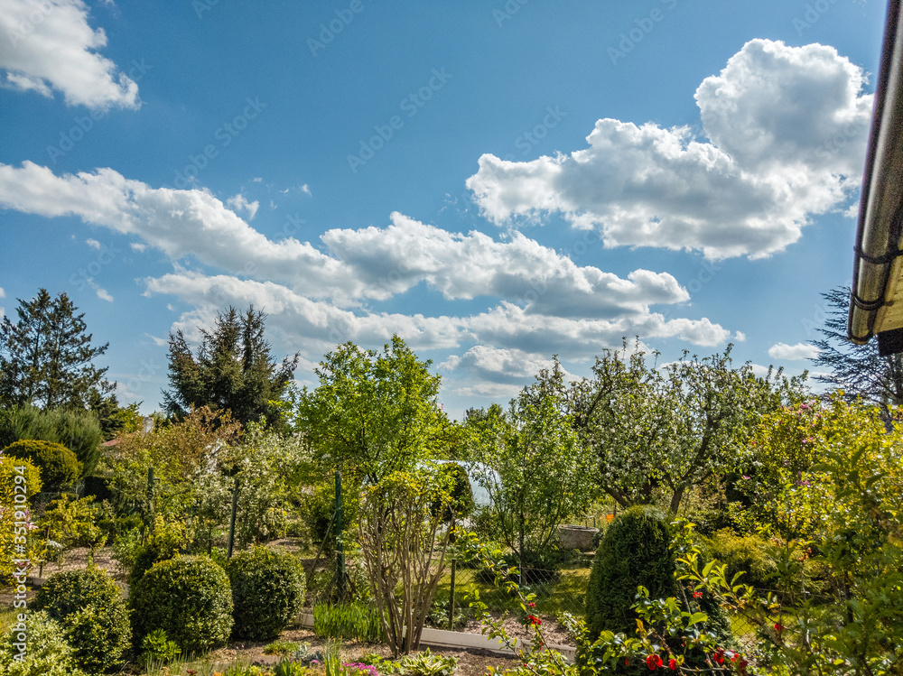 spring in the garden, panorama of trees with cumulus clouds above them