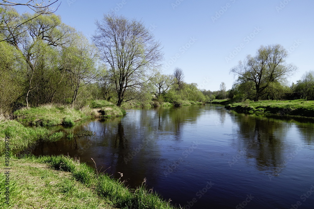 Landscape in May with a shallow river and trees just springing leaves