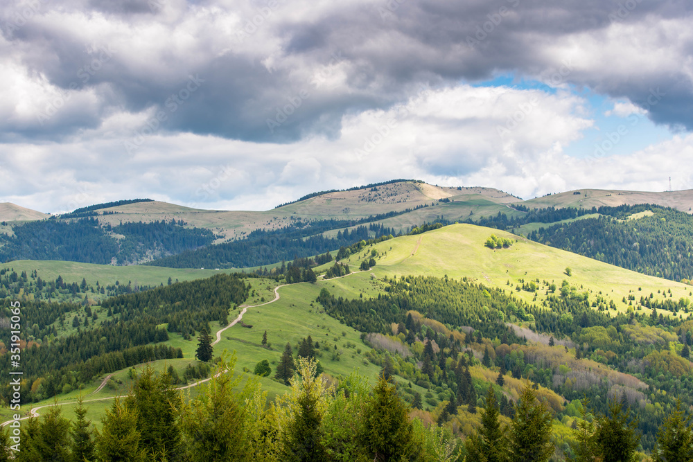Scenic view of the top of the mountain at springtime in Transylvania, Romania, Carpathian mountains.