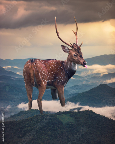 big deer standing in between mountains and clouds fantasy