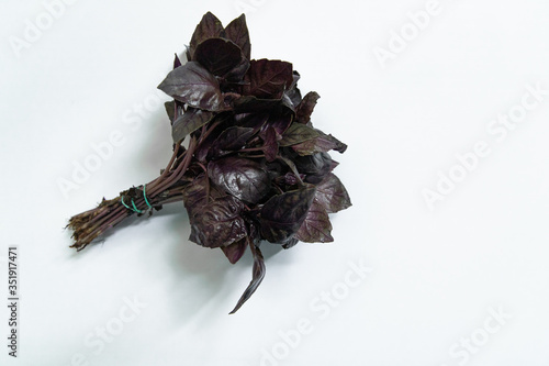 Sprigs of blue basil on a white background. Top view