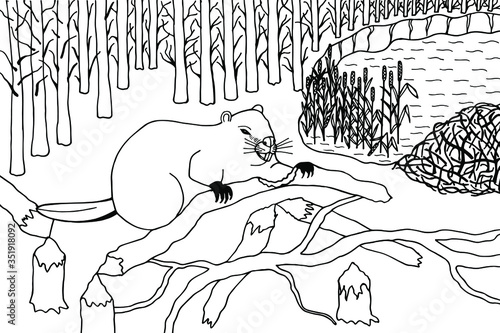 Coloring book. Beaver nibbles a tree. Vector stock illustration eps 10. Hand drawing.