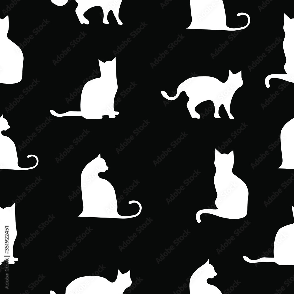 white cat on black background