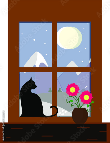 the window with the night view. a cat and a pot with a flower on the windowsill