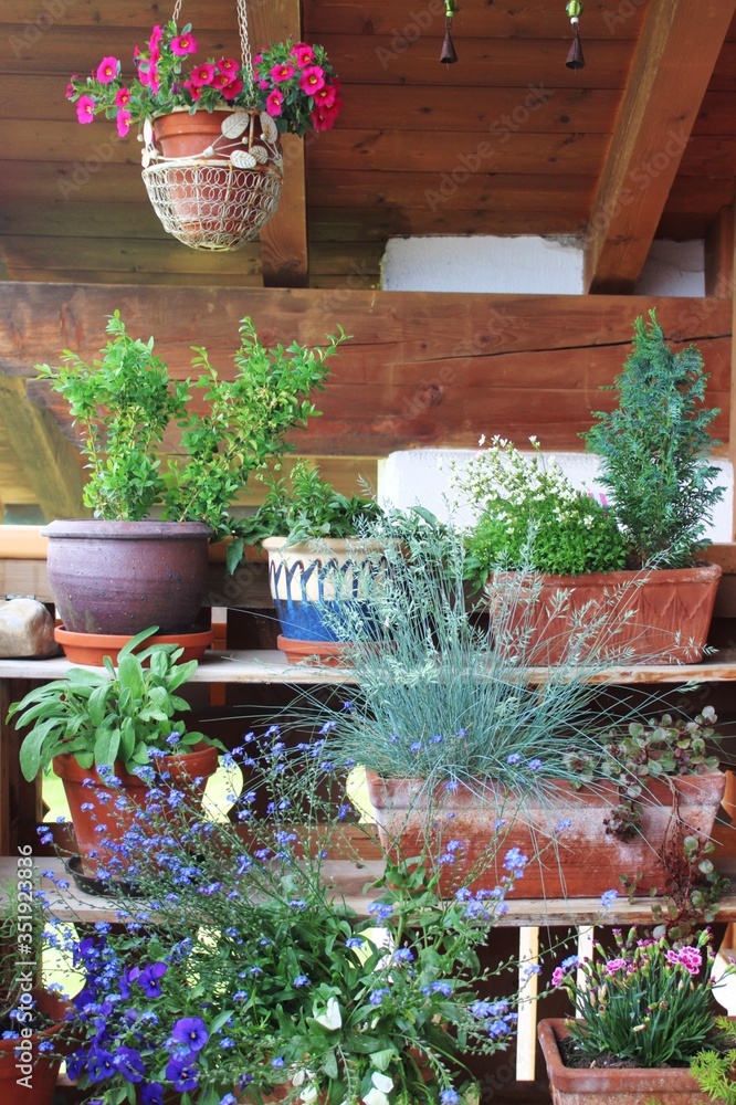 Blumenbank auf dem Balkon Stock Photo Adobe Stock
