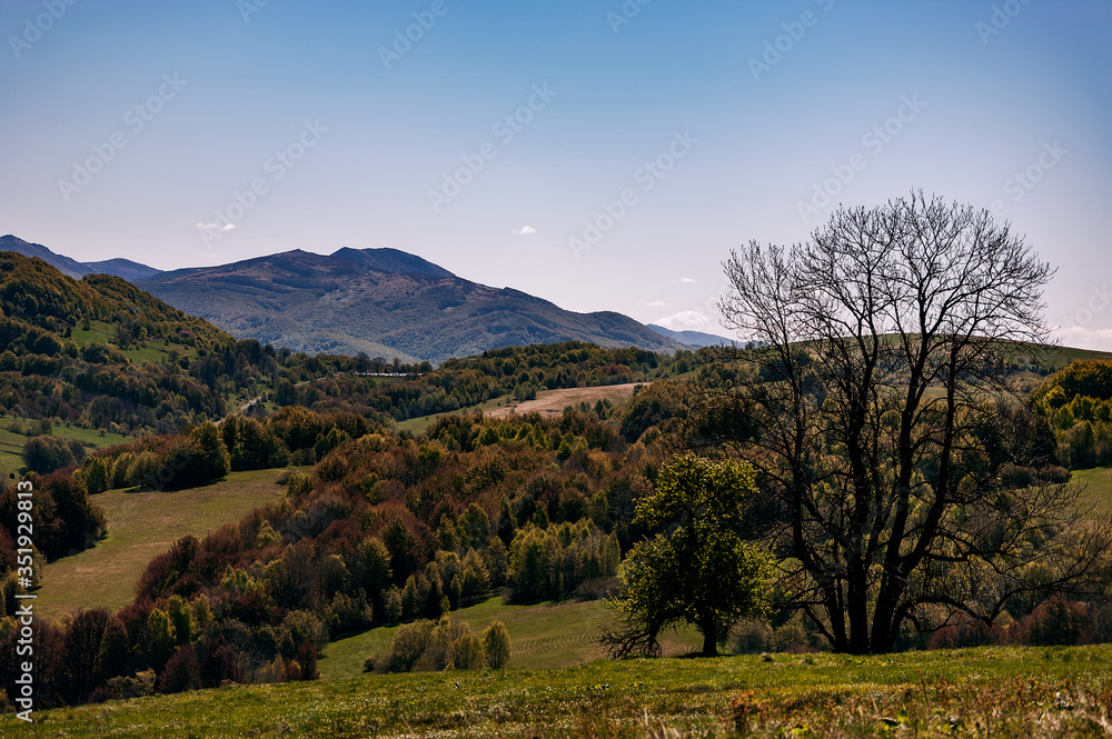 Bieszczadzkie klimaty