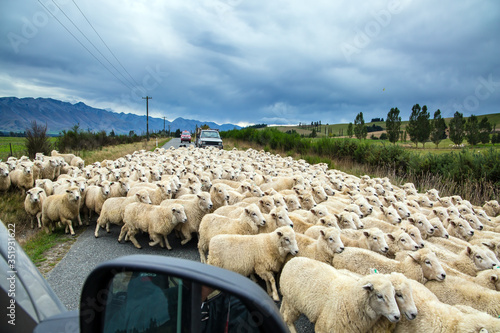 The heep on the road photo